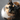 Hilft PRP bei chronischen Wunden bei Katzen?