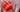 PRP nach Bandscheibenvorfall – stabilisierend?