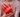 PRP nach Bandscheibenvorfall – stabilisierend?