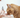 PRP für mehr Lebensqualität bei Katzen?
