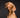 Was sind Hotspots beim Hund?